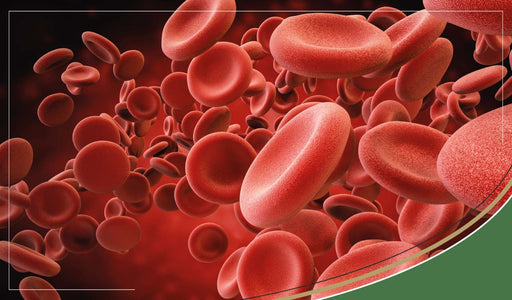 Haematuria - Blood in the Urine